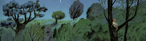 le-voleur-de-poules-3