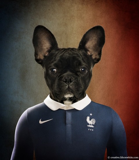 soccer nation dog france